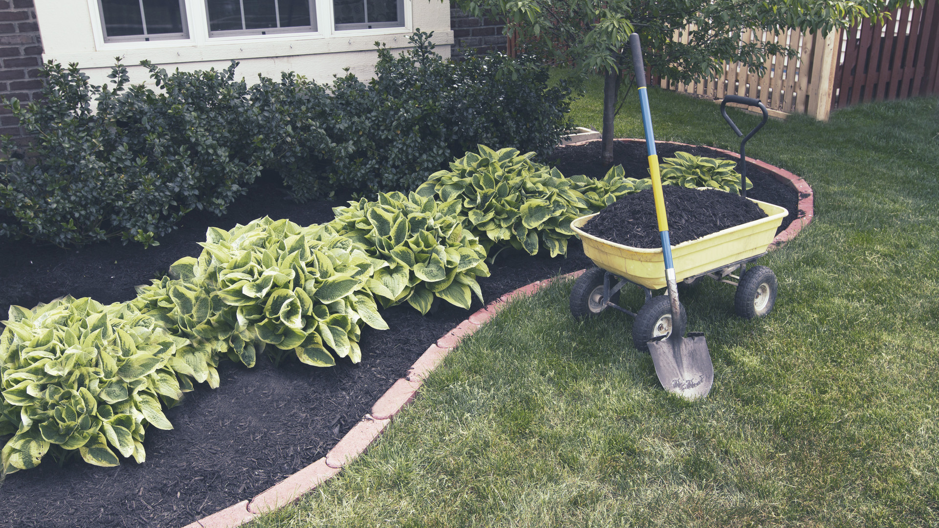 Gartenpflege und Rasen