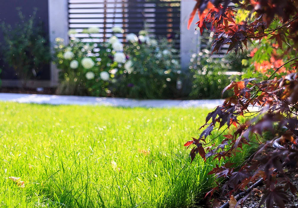 Referenz Gartenpflege