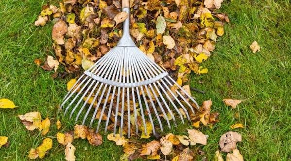 Referenz Gartenpflege