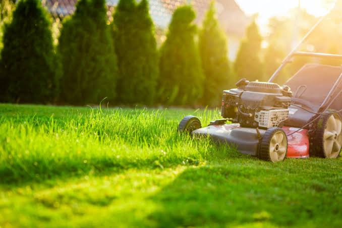 Referenz Gartenpflege