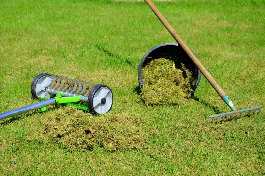 Referenz Gartenpflege