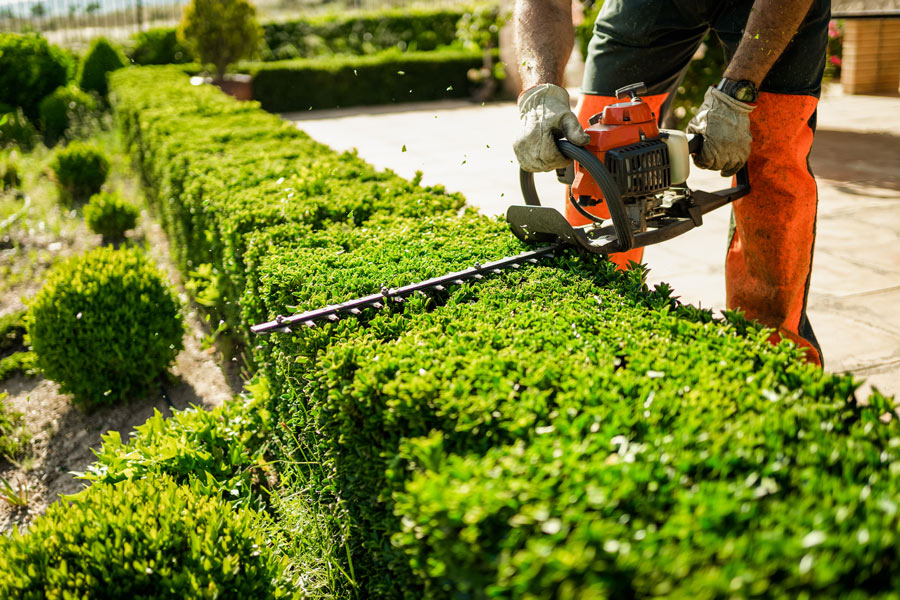 Referenz Gartenpflege